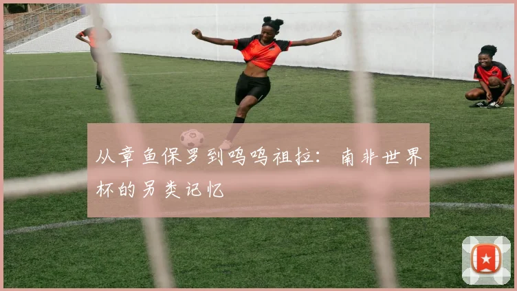 从章鱼保罗到呜呜祖拉：南非世界杯的另类记忆